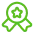 medal-star